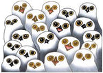 CAP Parliament of Owls Art Magnet