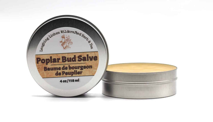 Laughing Lichen Poplar Bud Salve/Balm of Gilead Salve