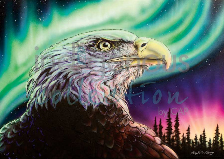 CAP Sky Dance - Sacred Messenger Framed Art Print