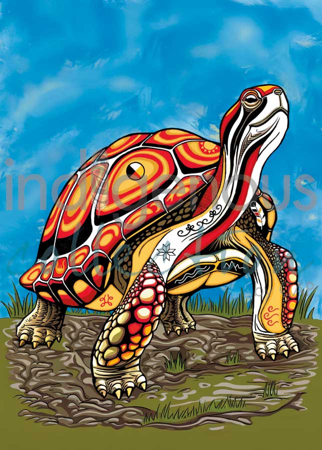 CAP Spirit Turtle Framed Art Print