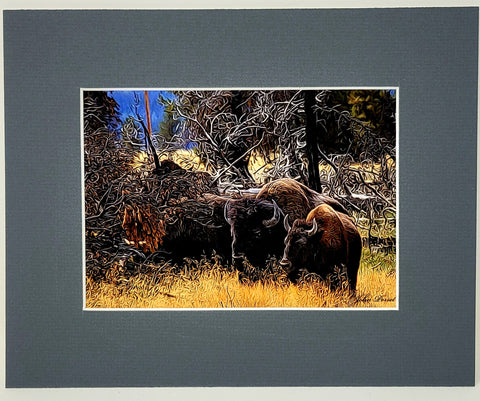 2 Bison in Field John Perret Print