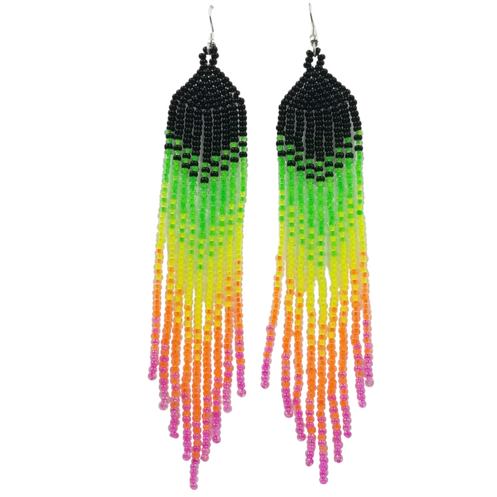 Tribal Roots Ombre Finge Earrings