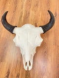 Buffalo Skulls By Pat Porter
