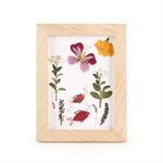 Kikkerland Huckleberry Pressed Flower Frame Art