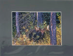 Moose in the Woods John Perret Print