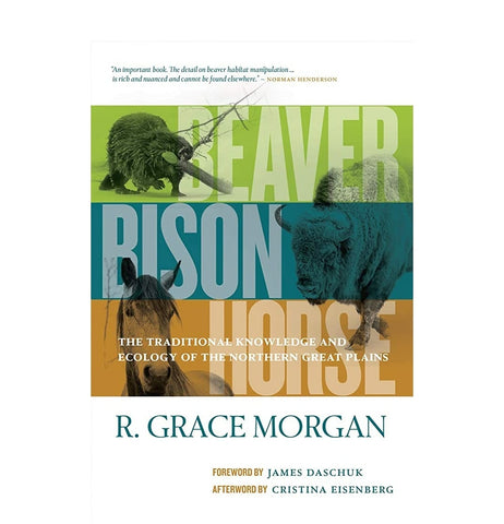 Beaver Bison Horse by R. Grace Morgan