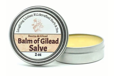Laughing Lichen Poplar Bud Salve/Balm of Gilead Salve 2oz